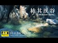 【癒し・4K風景映像／実写】柿其渓谷の清流／驚くほど美しいエメラルドグリーンの絶景！（長野県木曽郡南木曽町）疲れた心身の回復・リラックス効果、目覚めの朝や眠れない夜にもどうぞ。