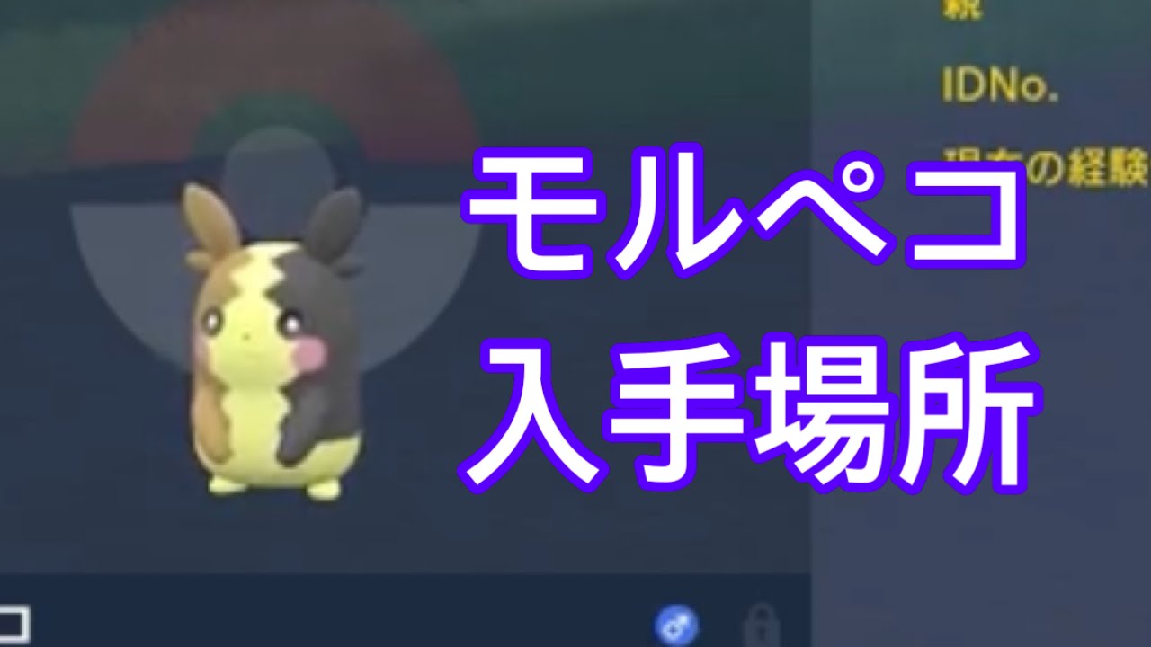 ポケモンSV】【DLC】モルペコ入手場所 バイオレット - YouTube
