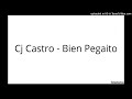 Cj Castro - Bien Pegaito
