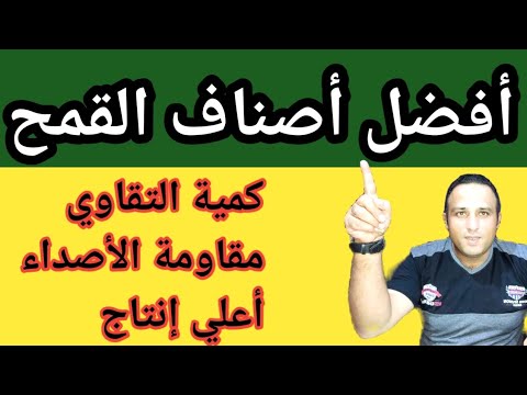 أفضل أصناف القمح و كمية التقاوي و أعلي إنتاج ومقاومة صدأ القمح