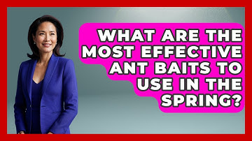 What Are The Most Effective Ant Baits To Use In The Spring? - Insects and Invaders