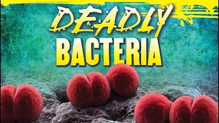 Deadly Bacteria: The Hidden Threat To Your Beach Vacation!