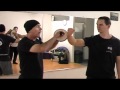 Wing chun  technique demonstration  mark spence  chi sau club