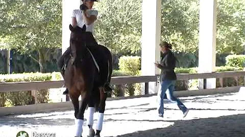Shannon Peters explains ways to get your horse to ...