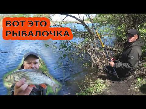 When fishing is a joy, the float rules.