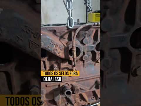 TODOS OS SELOS FORA, VEJA ISSO.