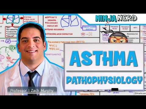 Asthma | Pathophysiology