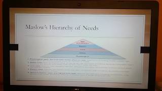 BU 240 Principles of Management: Chapter Two - Management Theory