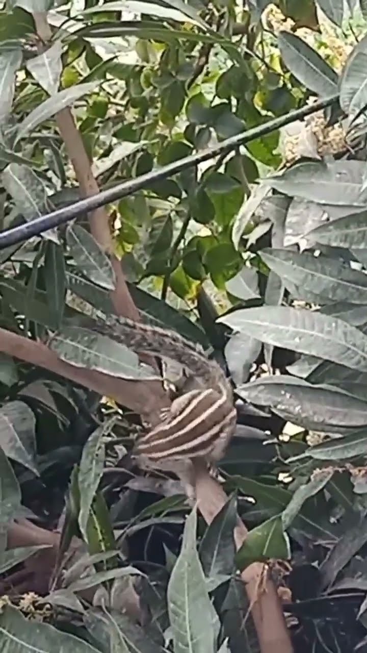 📸నేను తీసిన ఫొటోస్/వీడియోలు - ShareChat