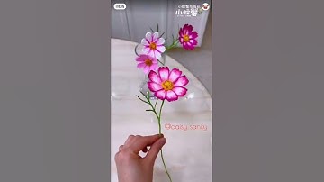 Hoa sao nhái xinh xinh.