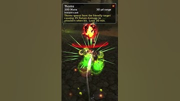 Rammus but in Vanilla WoW instead of League of Legends