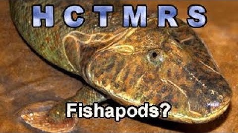 How Creationism Taught Me Real Science 91 Fishapods?