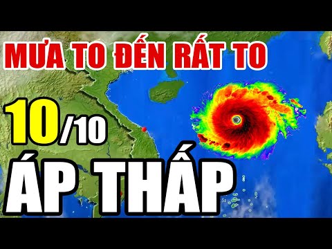 🔴[Trực Tiếp] Dự