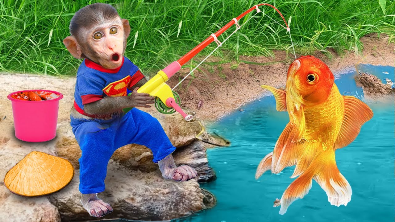 Baby Monkey Chu Chu go fishing and eat fruit with puppies in the garden