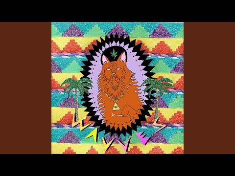 Wavves — When Will You Come?