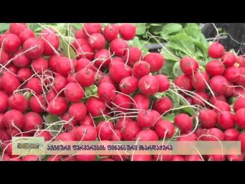 13 აპრილის \"ფერმერის საათის\" ანონსი