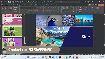 Exp19 PowerPoint AppCapstone IntroAssessment co | Exp19_PowerPoint_AppCapstone_IntroAssessment_Color