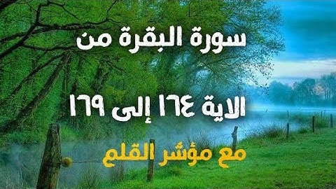 سورة البقرة من الاية 164 الي الاية 169 مع مؤشر القلم 