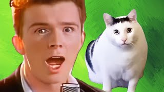 Rick Astley Gets A Pet Cat