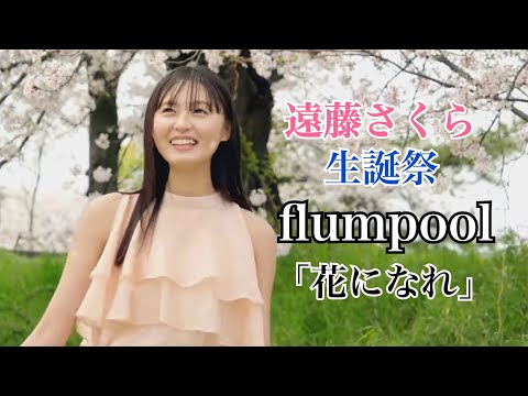 【遠藤さくら 生誕祭2023】flumpool「花になれ」【乃木MAD】