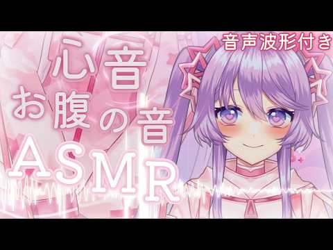 【ASMR】心音とお腹の音…夕食後のリラックスタイム イカ咀嚼音も少し 音声波形付き