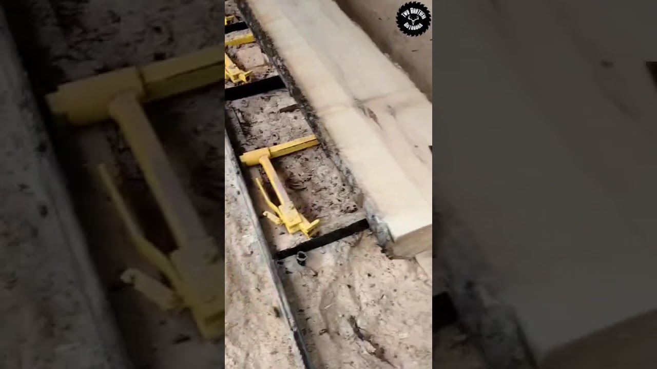 New wood from the stump dump! #log #shortvideo #sawmill