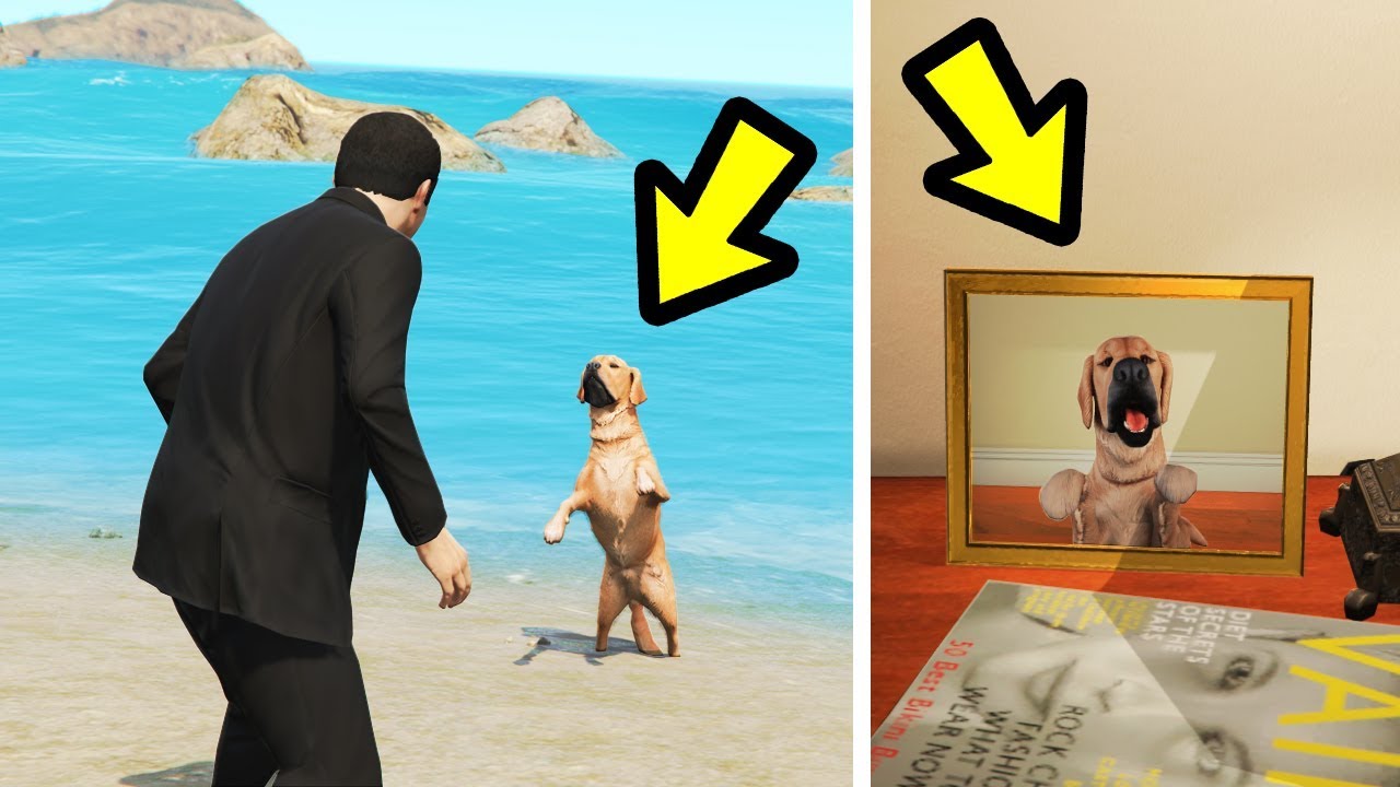 GTA 5 - I've Found Michael's LOST Dog! (Easter Egg)