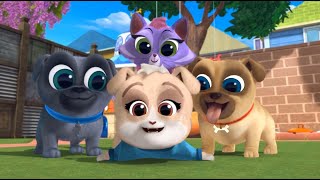 Puppy Dog Pals  Season 5  All Mission Intros