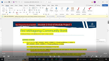 End of Module Project 1 Excel Module 2 | First Mittagong Community Bank