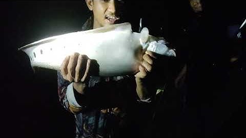 thức cả đêm theo các cần thủ săn cá Thác Lác và cái kết đầy bất ngờ...