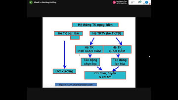 Bài 10.1 Thuốc tác động hệ giao cảm (Cường giao cảm) -Cô Khánh