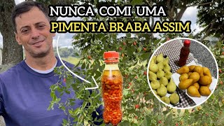 SABOREANDO A MELHOR COXINHA COM PIMENTA