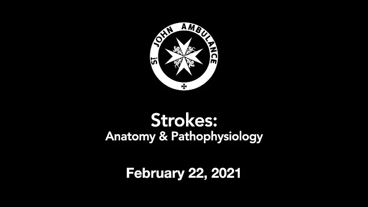 SJA Div 176 - Strokes: Anatomy and Pathophysiology - February 22, 2021