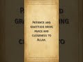 Patience and gratitude bring peace and closeness to Allah. | Islamic Reminder #S