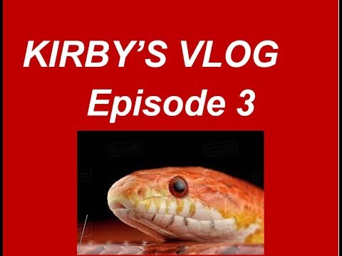 video phone beyonce mp3 Un-boxing Corn Snake Kirby's Vlog Episode 3