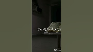 تلاوة هادئة 😴 #فلسطين_حرة #اكسبلور