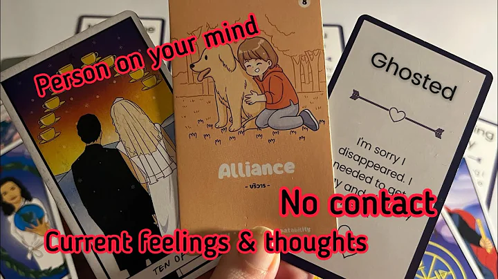 Person on your mind : Current Feeling for you💞No contact/Separation🥵 Next Move🫣tarot card reading