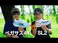ペガサス41とSL2を比較！どっちがおすすめなのか？