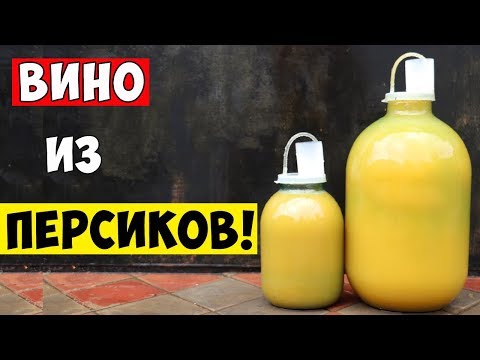 Как сделать вино из персиков в домашних условиях простой рецепт