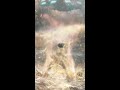 アニメの実写化やるならこんくらい派手にやらんかい！！