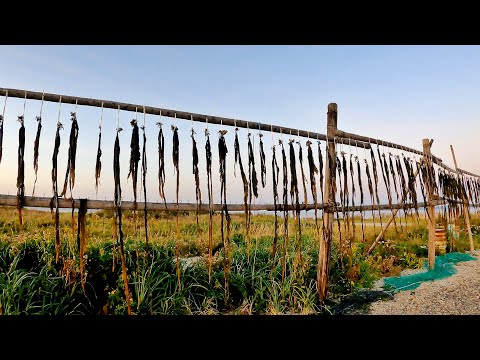 Hokkaido 10, Wakkanai 6 - 北海道、稚内 6