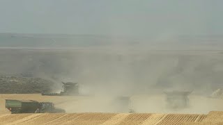 Red Flag Warning Days / Highwood Montana 2026 Wheat Harvest