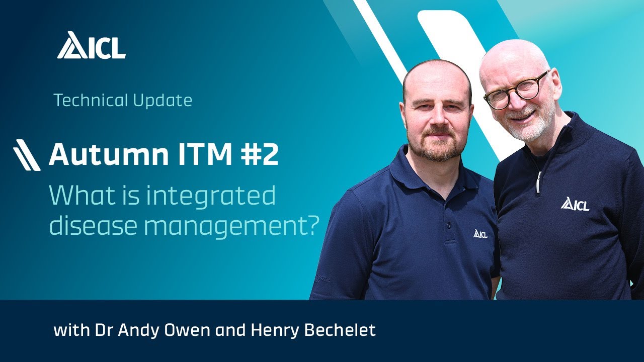 What is integrated disease management?