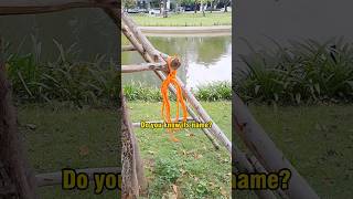 This Is The Way To Coil Your Rope Like A Pro - Keep Your Ropes Tidy And Ready With This Knot