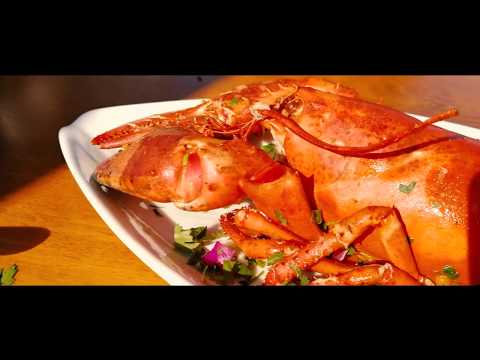 Dubai Waterfront Market Best Fresh Seafood in Dubai