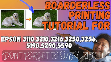 BORDERLESS PRINTING FOR NON BORDERLESS EPSON PRINTERS | PRINTING BUSINESS GUIDE