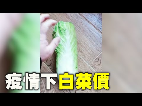 石家庄封城后天价大白菜。河北省的疫情继续蔓延，石家庄市的超市、菜市场、便利店等全部都已经暂停了线下的营业，转入线上销售，实行网上下单和无接触配送，中共治下搞疫情经济，发国难财。