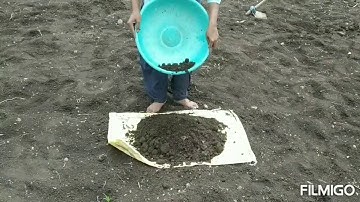 Demonstration on collection of soil samples....