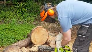 Poulan Micro XXV Vintage 32cc Top Handle Chainsaw. Starting, running & cutting.. a baby powerhouse
