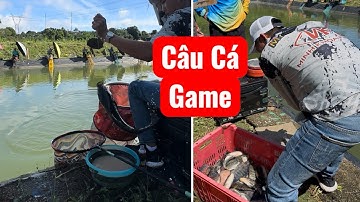 Cách Giật Cá Rô Liên Tục…… Là Đi Hồ Câu Game #minhkhoafishing #fishing #fyp #cauca 